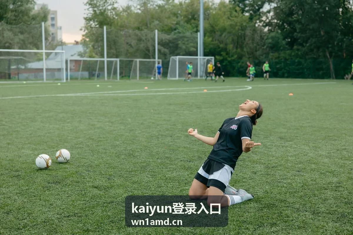 kaiyun登录入口地址确认方式示意