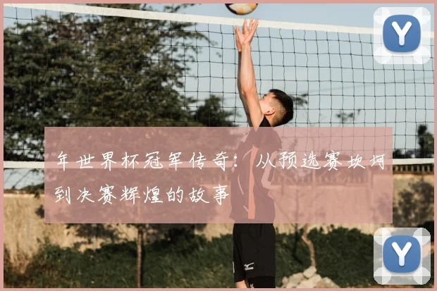 年世界杯冠军传奇：从预选赛坎坷到决赛辉煌的故事