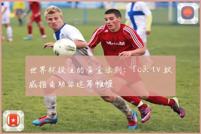 世界杯投注的黄金法则:fc3.tv 权威指南助你运筹帷幄