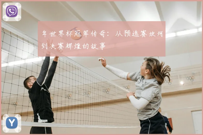 年世界杯冠军传奇：从预选赛坎坷到决赛辉煌的故事