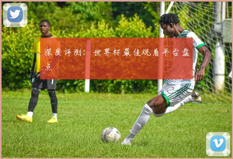 深度评测：世界杯最佳观看平台盘点