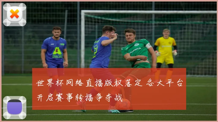 世界杯网络直播版权落定 各大平台开启赛事转播争夺战