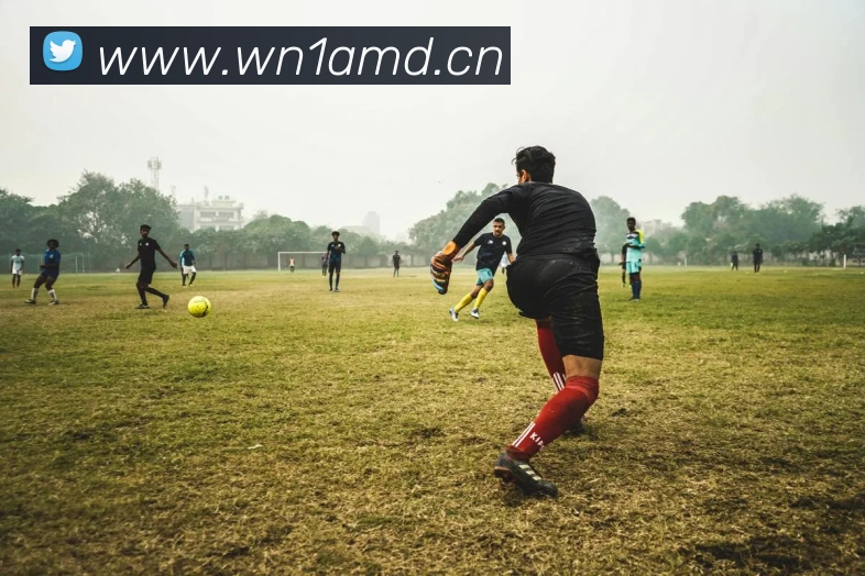 星空体育官方网页入口APP 体育赛事宣传图